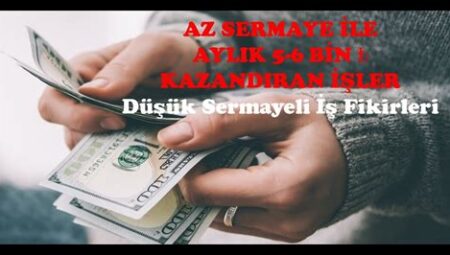 Düşük Sermayeli Yüksek Kazançlı İş Fikirleri