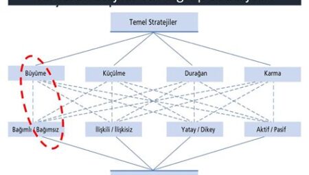 İş Geliştirme Stratejileri: Rekabetçi Pazarlarda Büyüme Fırsatları