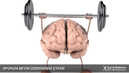 Spor ve İş Performansı: Düzenli Egzersizin Zihinsel Odaklanma, Verimlilik ve Stres Yönetimi Üzerindeki Etkileri